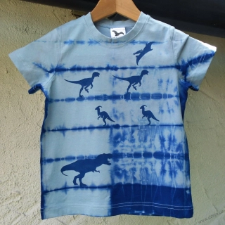 Modré dětské tričko s dinosaury (6 let)